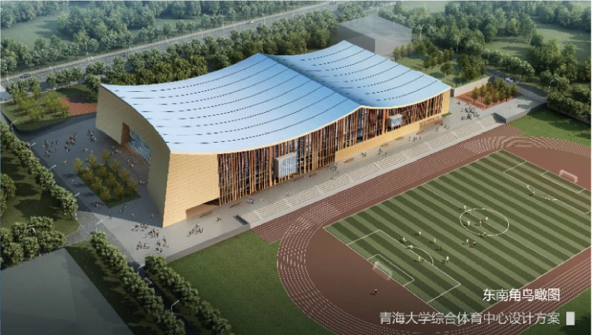 家人在你心中有幾斤？看完這組數據我沉默了……