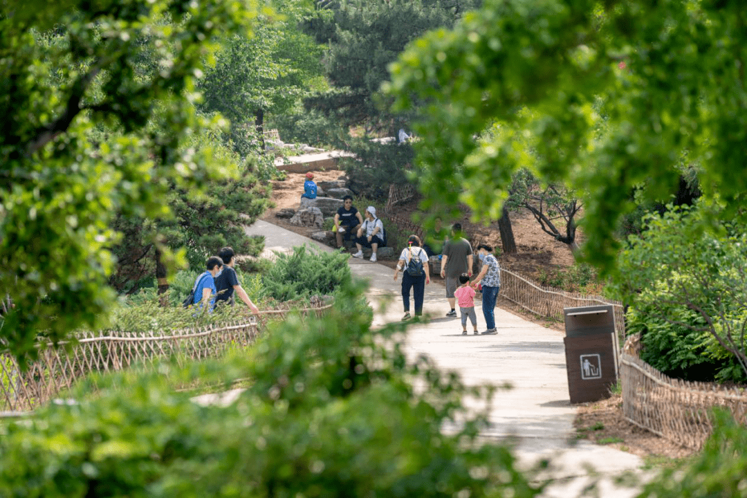 清研智談 | 北京園林綠化垃圾體系化建設亟需“零”的突破