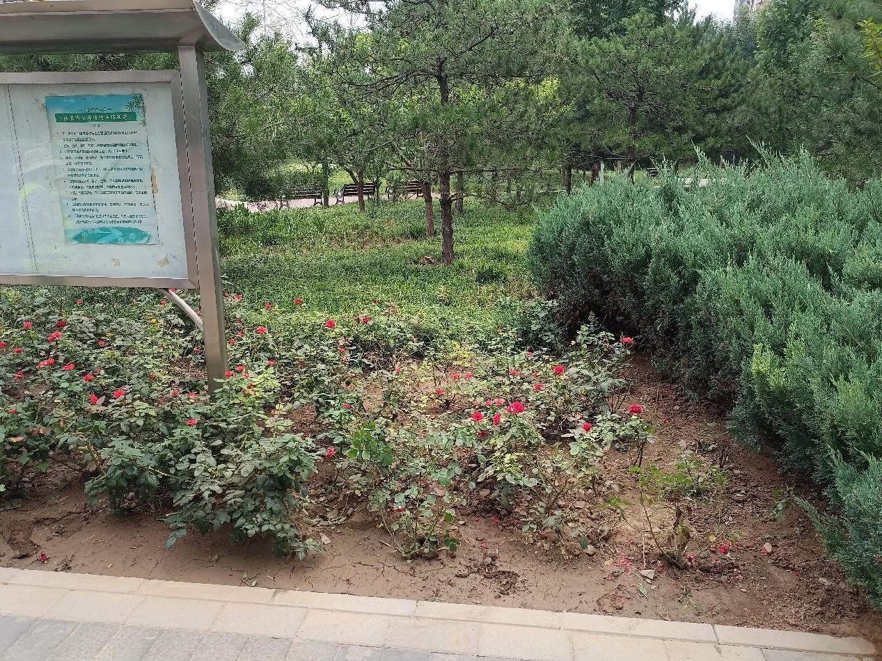 清研集團助力平谷區高效完成第十次園林綠化資源專項調查